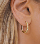 Medium Gold Willow Hoop